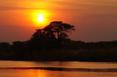 Praktikum in Afrika
